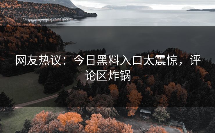 网友热议：今日黑料入口太震惊，评论区炸锅