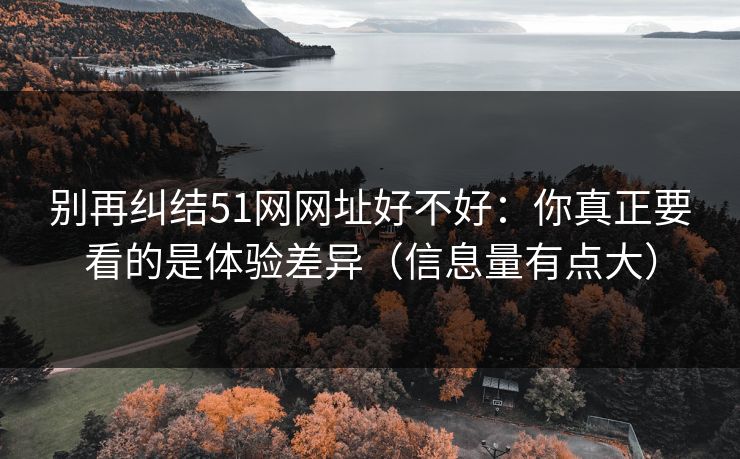 别再纠结51网网址好不好：你真正要看的是体验差异（信息量有点大）