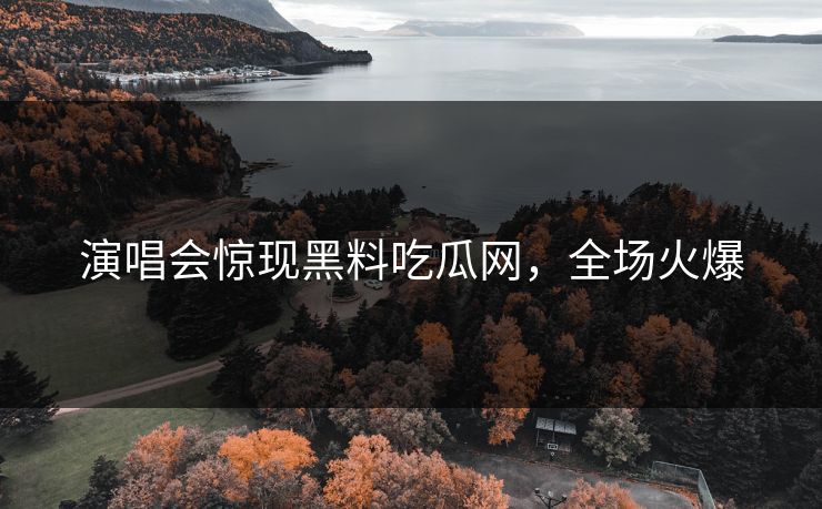 演唱会惊现黑料吃瓜网，全场火爆