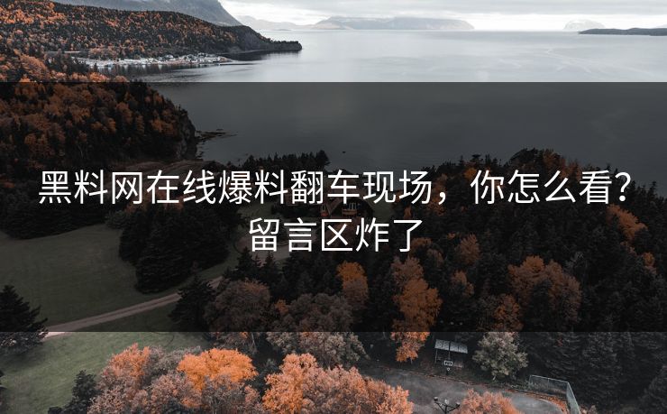 黑料网在线爆料翻车现场，你怎么看？留言区炸了