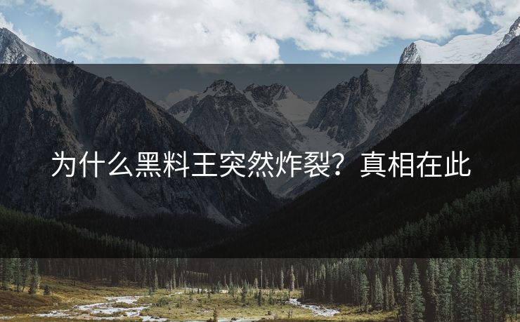 为什么黑料王突然炸裂？真相在此