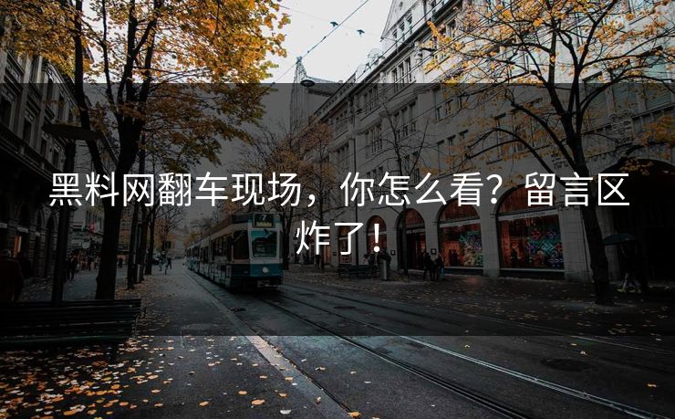 黑料网翻车现场，你怎么看？留言区炸了！