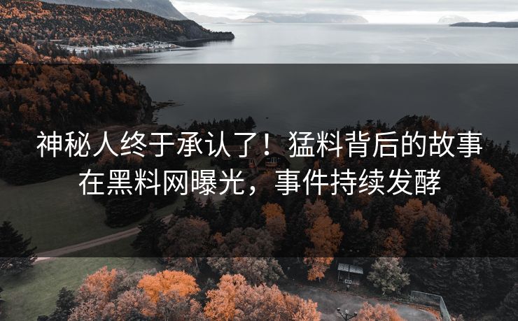 神秘人终于承认了！猛料背后的故事在黑料网曝光，事件持续发酵
