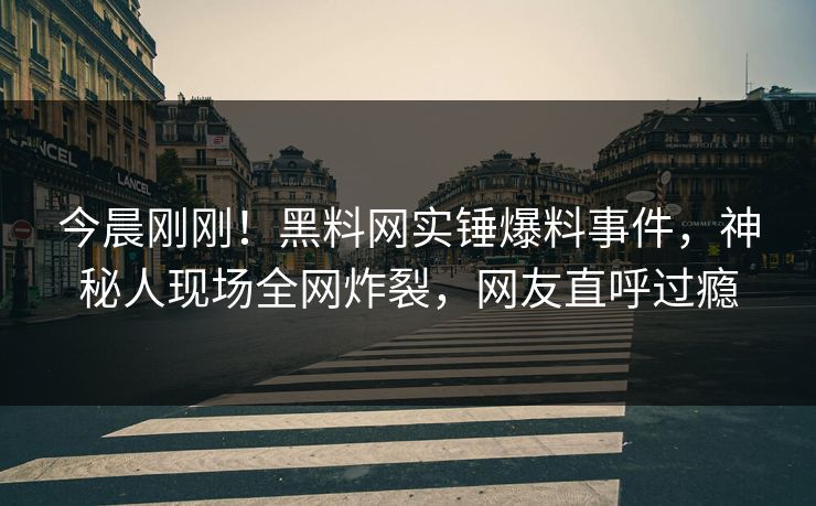 今晨刚刚！黑料网实锤爆料事件，神秘人现场全网炸裂，网友直呼过瘾