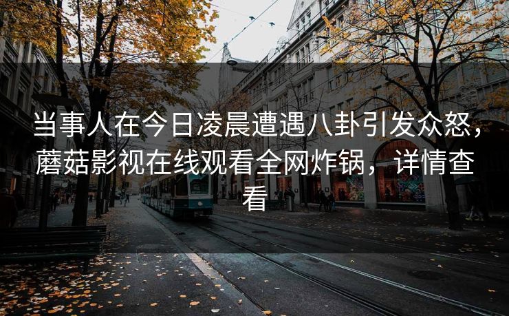 当事人在今日凌晨遭遇八卦引发众怒，蘑菇影视在线观看全网炸锅，详情查看